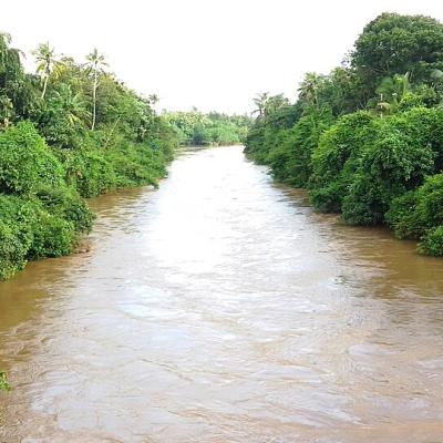 வந்ததே நொய்யலில் வெள்ளம்; மகிழ்ந்ததே மக்கள் உள்ளம்!