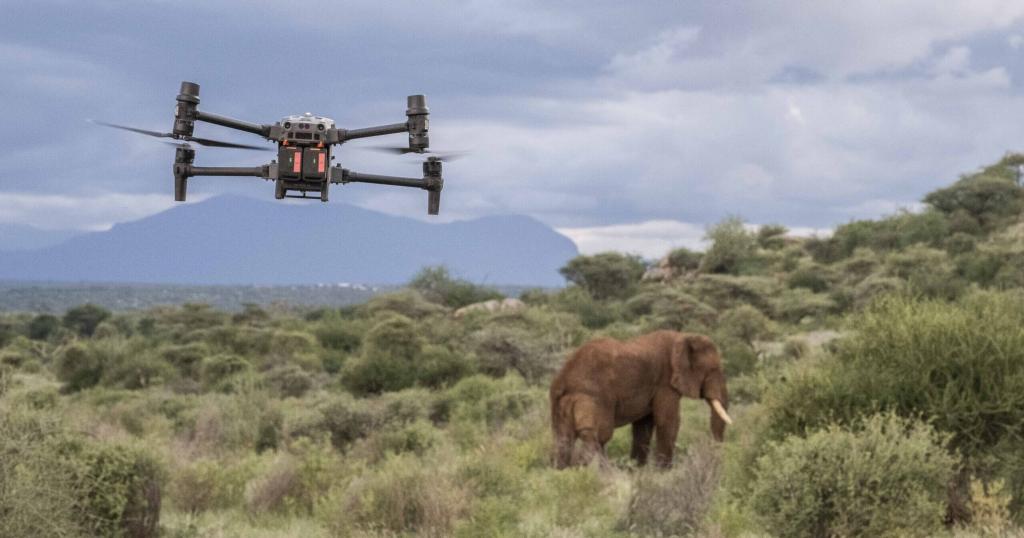 மதுக்கரை வனச்சரகத்தில் ட்ரோன் கண்காணிப்பு