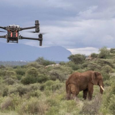 மதுக்கரை வனச்சரகத்தில் ட்ரோன் கண்காணிப்பு