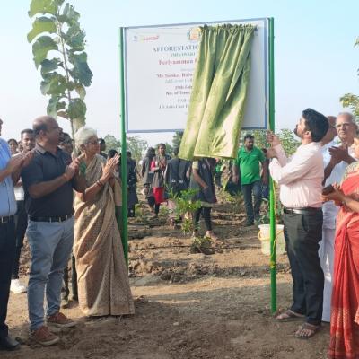 பத்து இலட்சம் மரங்களை கடந்த சிறுதுளி – அன்னூரில் 17,500 மரக்கன்றுகள் நடவு