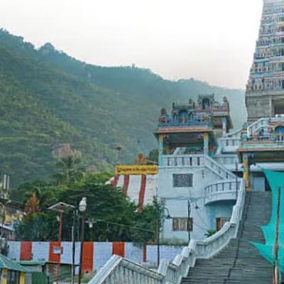 மருதமலை மருதாசல மூர்த்தி கோயில் – சித்தர்களின் திருத்தலம்