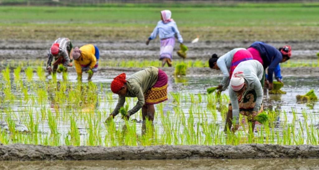மழையில் நனைந்த பயணி: ரூ.5,000 இழப்பீடு உத்தரவு