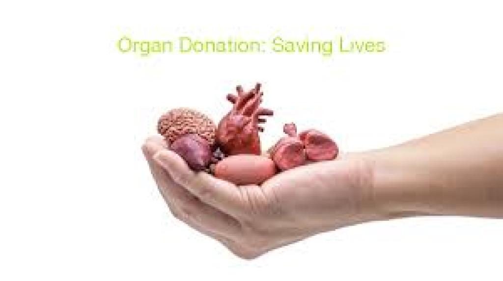 8 வயது சிறுமியின் உறுப்பு தானம் – ஏழு பேருக்கு மறுவாழ்வு