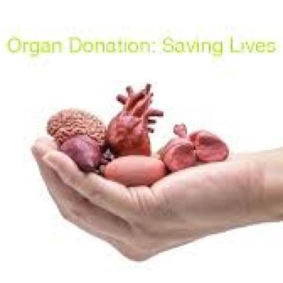 8 வயது சிறுமியின் உறுப்பு தானம் – ஏழு பேருக்கு மறுவாழ்வு