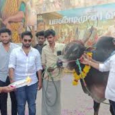 கோவையில் ஜல்லிக்கட்டு காளையுடன் தியேட்டருக்கு வடம் படம் பார்க்க வந்த ரசிகர்கள்