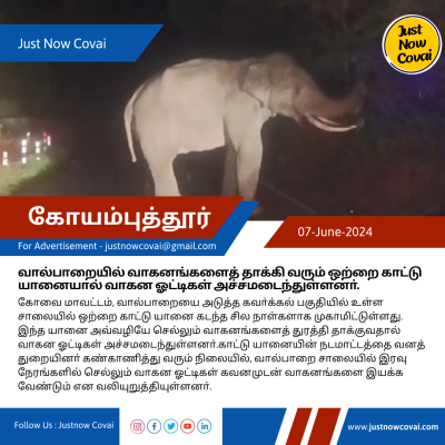 வால்பாறையில் வாகனங்களைத் தாக்கி வரும் ஒற்றை காட்டு யானையால் வாகன ஓட்டிகள் அச்சமடைந்துள்ளனா்.