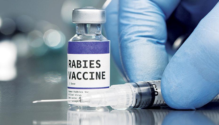 Rabies-Vaccination-Saves-Lives