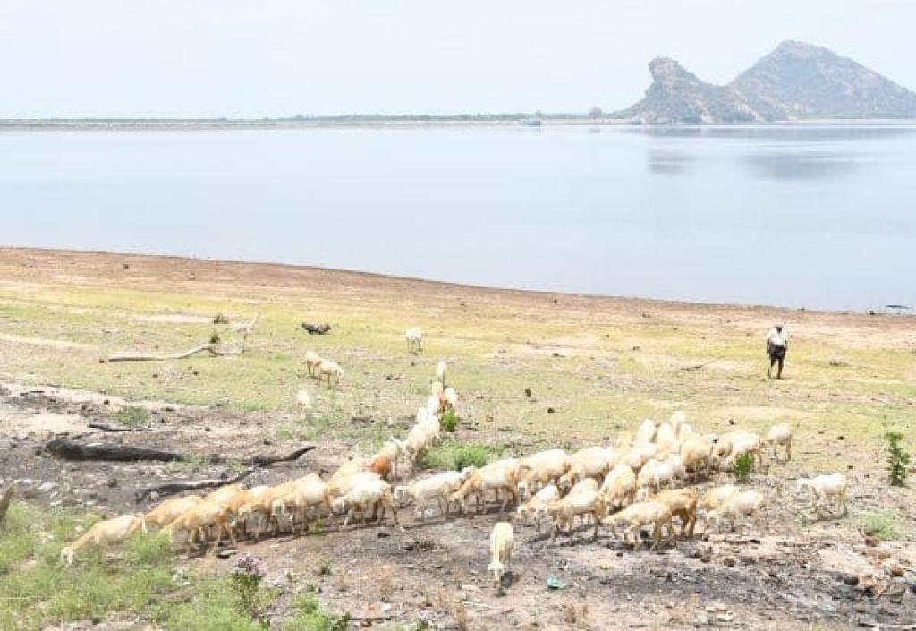 கோவை, திருப்பூரில் நீர்மட்டம் சரிவு